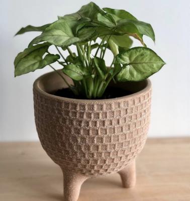 China Eco-friendly Cute Creative Indoor Home Decor Plant Shape Design Ceramic Flower Pots for sale