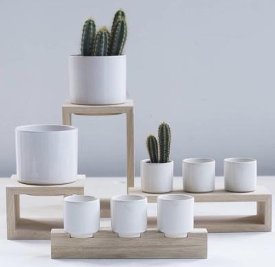 China Modern Design Eco-friendly Succulent Pot White Ceramic Cheap Plant Flower Pots With Wooden Stand For Display for sale