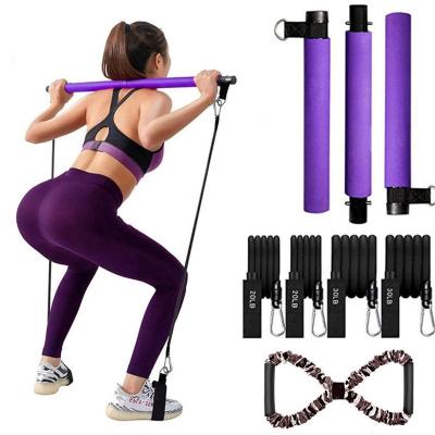 China Amazon Multi-Function Hot Portable 3 Section Pilates Bar Kit with 8 Shape Chest Expander for sale