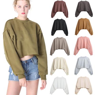 China Multi Colors Breathable Solid Color Women's Hoodies Loose Long Sleeve Women Crop Top Hoodie Fashion Women Fall Clothing for sale