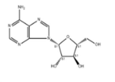 China C10H13N5O4 Vidarabine CAS 5536-17-4 Antiviral Agents For HSV-1 HSV-2 for sale