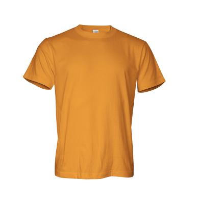 China Breathable Wholesale 100% Combed Cotton Blank T-shirt Plain T-shirt Comfortable Wear for sale