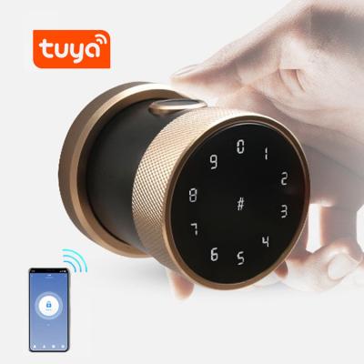 China ttlock tuya app smart home wifi NFC biometric digital smart door fingerprint locks cerraduras inteligentes for sale