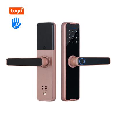 China tuya app home electronic electric wifi biometric digital smart finger print door locks for sale