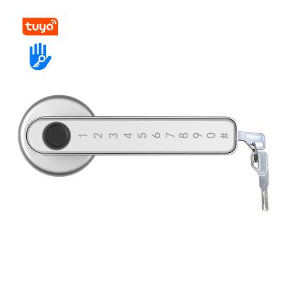 China TTlock Biometrics Password Code Handle Smart Door Knobs Smart Fingerprint Electric Lock for sale