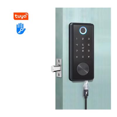 China Hotel Digital Keyless Biometric Blueteeth Fingerprint Tuya TTlock Smart Home Safety Door Lock With Deadbolt for sale