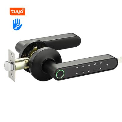 China 2022 tuya app control fingerprint password smart handle door lock for bedroom for sale