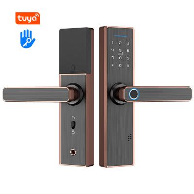 China custom portable fingerprint intelligent entrance smart bedrooms door locks for sale