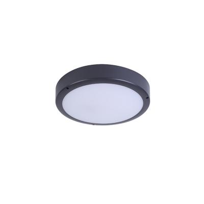 China Other Discharge Induction Emergency Ceiling Light Ceiling Lamp for Outdoor, Home, Bedroom, Bathroom, Wall for sale