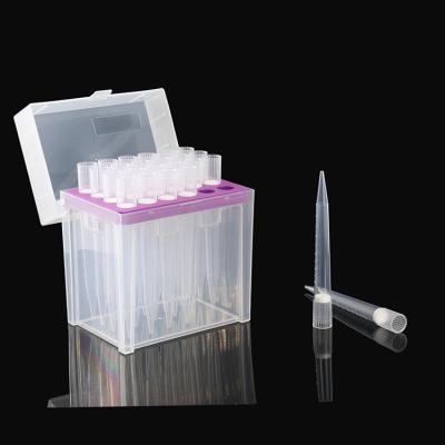 China Lab Pipette Plastic Tips Stretch Hot Sale 10ul 20ul 50ul 100ul 200ul 1000ul 1ml Stand Filtered Tip Pipette Tip for sale