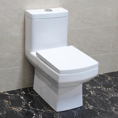 China Double-flow Henan Square Toilet S Trap 220mm One-piece Square Toilet for sale