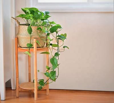 China Amazon Sustainable Stackable Hot Sale Stackable Plant Stand Flower Stand Bamboo Stand for sale