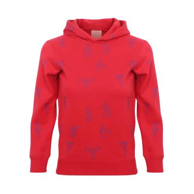 China professional Anti-wrinkle custom high quality leisure fashion oversized hoodie for sale