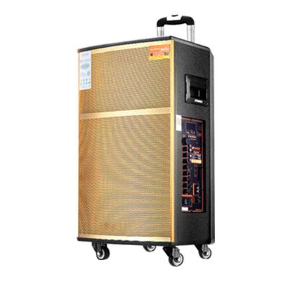 China 25W Metal Grille Trolley Speaker with 100W Output Power and 1 Loudspeaker Enclosure for sale