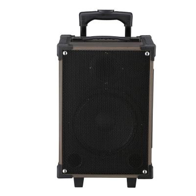 China Portable Wireless Bluetooth Trolley Speaker 50W Output Power Booming Bass for sale