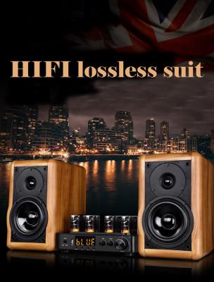 China Wood Cabinet Bookshelf Speaker with Tube Amplifier and 1inch Tweeter within Your Budget for sale