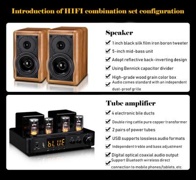 China 30W Bookshelf Speaker in Wood Cabinet for Exceptional Sound Performance for sale