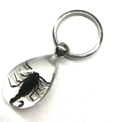 China Fashion Resin Insect Bug Amber Scorpion Spider Necklace Keychain KO1299 for sale