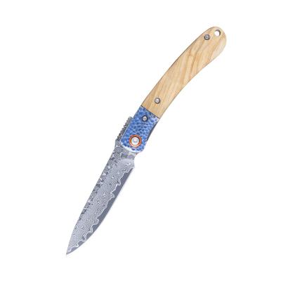 China Belt Clip High Quality Wood Handle Damascus Steel Survival Pocket Knife for sale