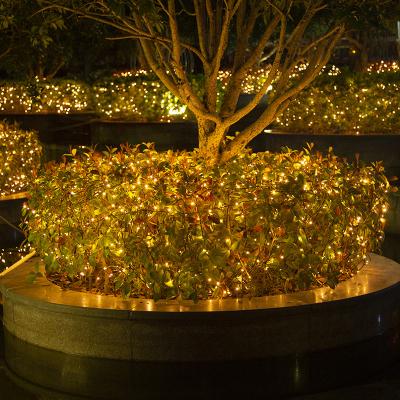 China LOW MOQ Led String Lights WANLI Christmas Outdoor Mini Christmas Home Decoration for sale