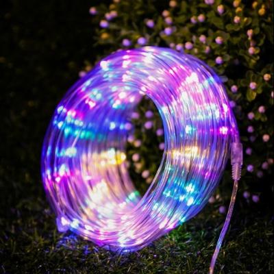 China LED Tree Light Christmas Tree Decoration Lights Custom LED String Lights Remote Control Color Changing 10m Outdoor Rope Light for Wholesale for sale