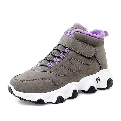 China CUSHIONING Ziitop 2021 New Dad Shoes For Girls Winter Cotton High Top Shoes For Girls Women Winter Casual Shoes for sale