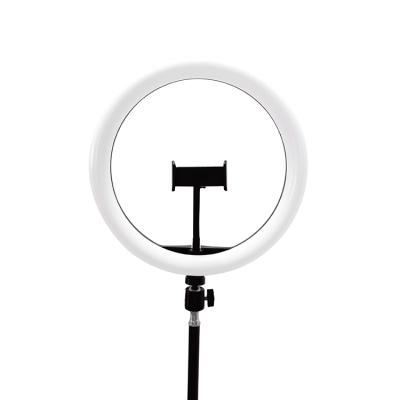 China Super Low Price PORTABLE New Ring Light 10 Inch Led Ring Light for sale