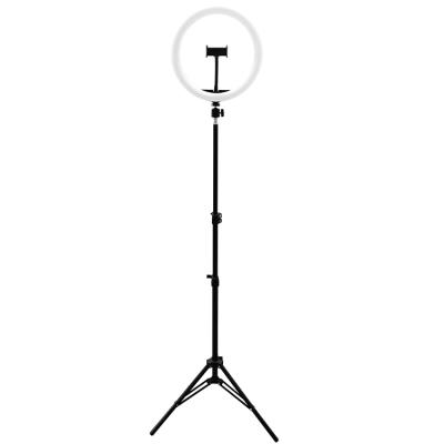 China 2021 New Adjustable Configuration 14 Inch High Led PORTABLE Ring Light for sale