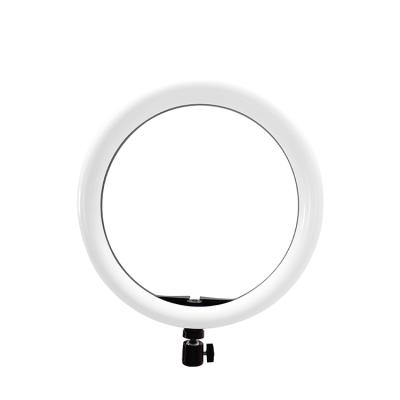 China 2021 HANDHELD new high configuration Led ring light photographic 14 inch for sale