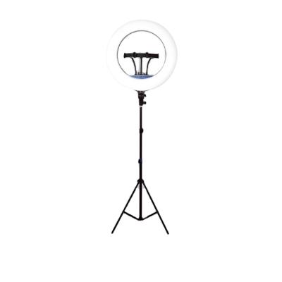 China Hot Selling PORTABLE 16 Inch With Tripod Photographic Lighting Ring Light Stand for sale