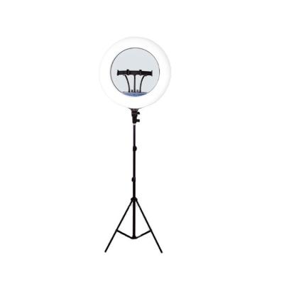 China Wholesale PORTABLE 18 Inch Shooting LED Ring Fill Optional Height Camera Video Light for sale