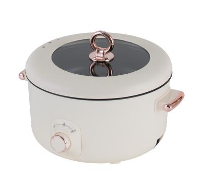 China Home Sales 5L Household Hot Pot Electric Cauldron Multi Cooker Electric Stove for sale