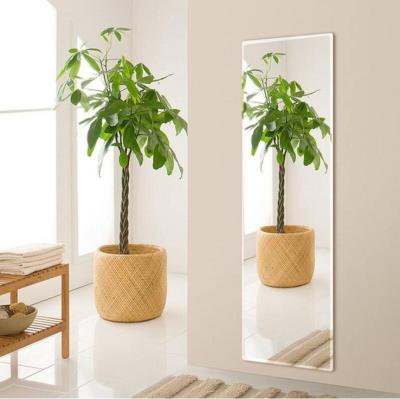 China Cheap Wholesale Modern Custom Made Frameless Full Body Rectangular Bevel Gym Durable Mirror Wall Mirror Silver Edge Mirror for sale