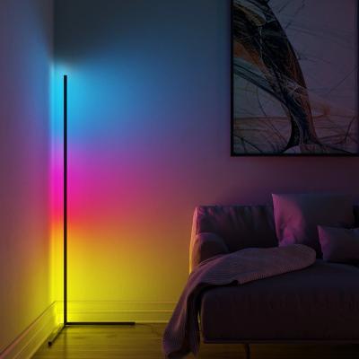 China Modern Aluminum RGB Cornerled Floor Light Led Remote Control Globe Body Lamps Night Stand Smart Floor Lamp Minimal Decorative for sale