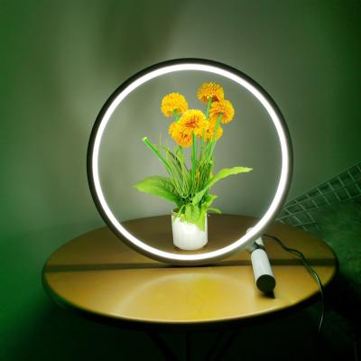 China Modern Modern Bed Side USB Nordic Reading Lighting Led Ring Night RGB Table Lamps for sale