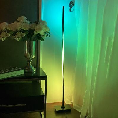 China Modern hot sale decoration standing corner colorful rechargeable LED RGB floor lamp twisted lights for sale