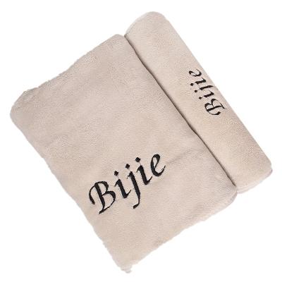 China Highly Recommended QUICK DRY Luxury Super Soft Super Absorbent Porcelain Microfiber Towel for sale