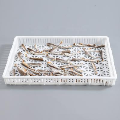 China Large Food Airflow 3*1.5cm Vented Hole Stacked Plastic Drying Tray For Candy / Fish Drying And Curing for sale