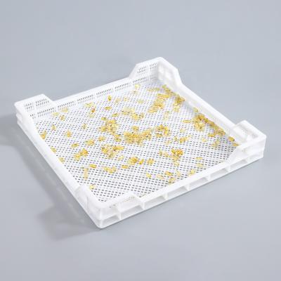 China Food and Medicated Candy Maker Vented Plastic Stackable Air Circulation Drying Tray for Pharmaceutical for sale