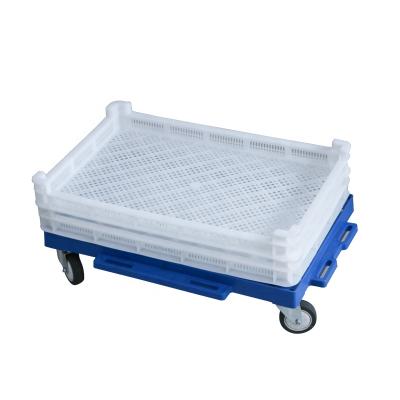 China BYD-004 Manufacturer Direct Sale Lightweight HDPE Stacking Plastic Vented Drying Trays For Herbs / Softgel for sale