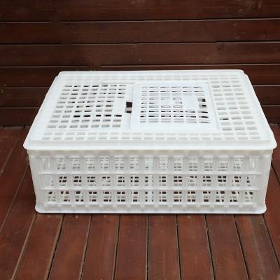 China Farms 750*550*270mm Plastic Poultry Processing Transport Box Chicken Transport Crates For Live Chicken for sale