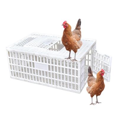 China Farms 900*600*405 mm Plastic Broiler Cage Price Poultry Chicken Cages For Broiler Farm for sale