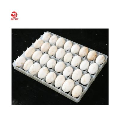 China Agriculture 32/72 plastic goose egg incubator tray egg transport tray for sale