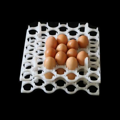 China High Quality Virgin Material Pallet HDPE 42 Cells Chicken Egg Eco - Friendly Hatching Tray for sale