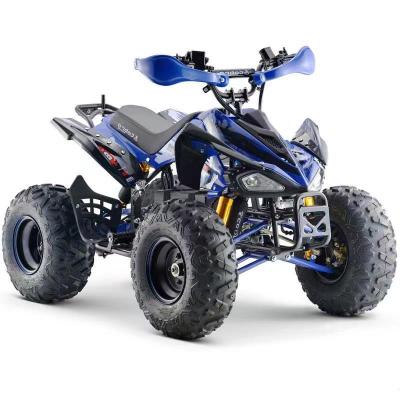 China Popular Steel Start ATV 1000W 1500W Electric 4 Wheels Quad Racing Electric Four Wheeler Auto ATV 2 Mini Atv for sale