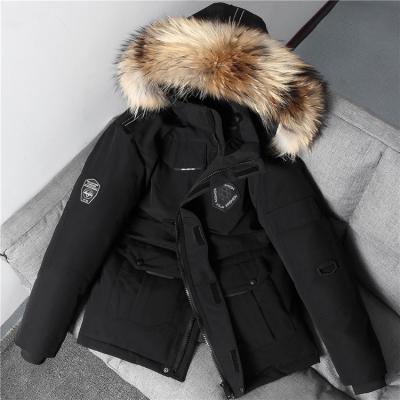 China 2021 Winter Fox Fur Anti-wrinkle Natural Hooded Thick Warm Jackets Duck Down Coats Women Parkas Female Outerwear for sale