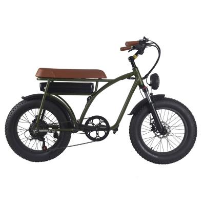 China Aluminum Alloy Support custom 48V/36V large capacity long endurance strong power detachable battery urban electric bicycles for sale