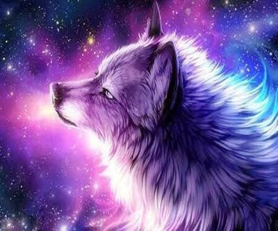 China Europe Round Diamond Embroidery Cross Stitch Diamond Crystal Wall Painting 5D DIY Diamond Painting Animal Wolf Full for sale