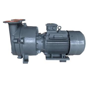 China Automotive industry 2BV5161 nash single stage industrial liquid ring vacuum pumps monoblock vacuum pump model for sale