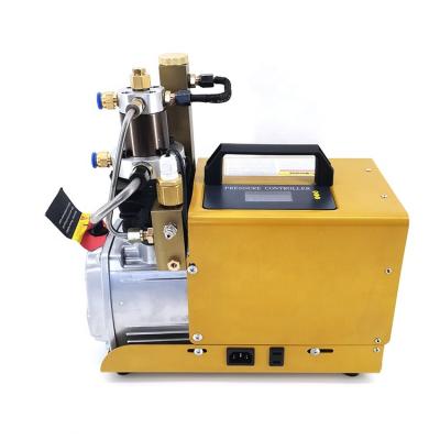 China 4500psi 300bar 220V 110V oil lubricated pcp compressor electric high pressure air compressor for sale